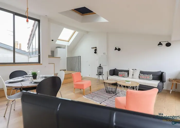 Apartment Dv7 Rooftop Hyper-centre Toulouse